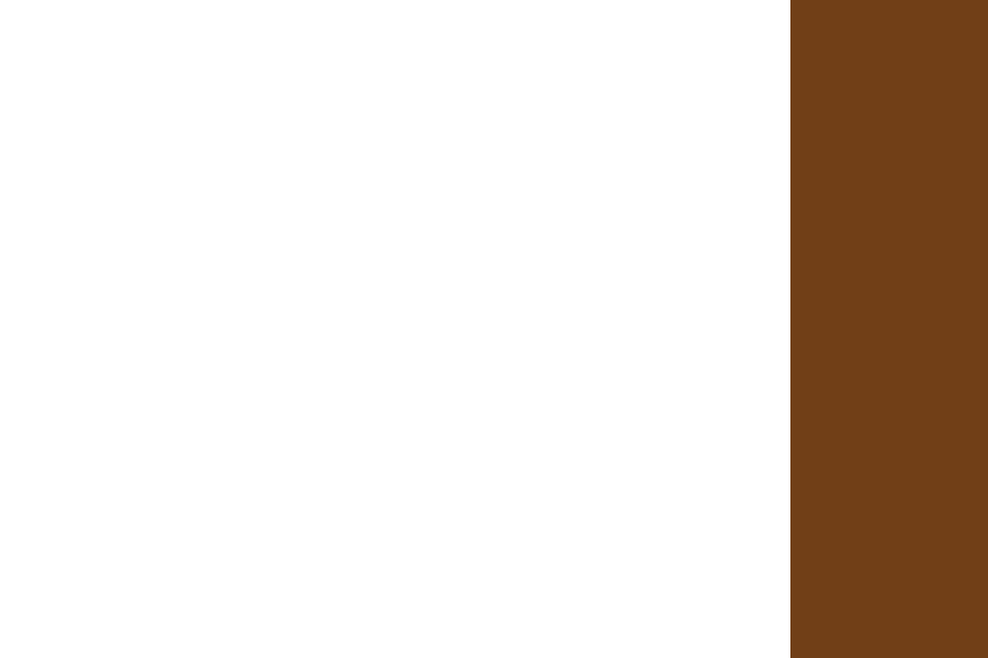 The FitnessGram PACER Test is a multistage aerobic color palette